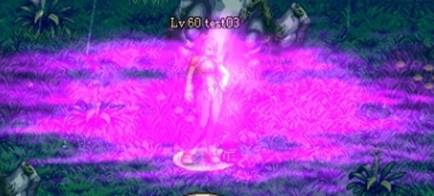 �ְԾ��Ѽ�����������